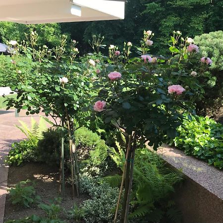 Ferienwohnung フリードリヒスハーフェン エクステリア 写真